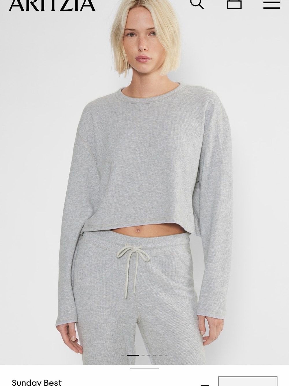 Aritzia Sunday Best Baby Waffle Longsleeve in Heather Chrome